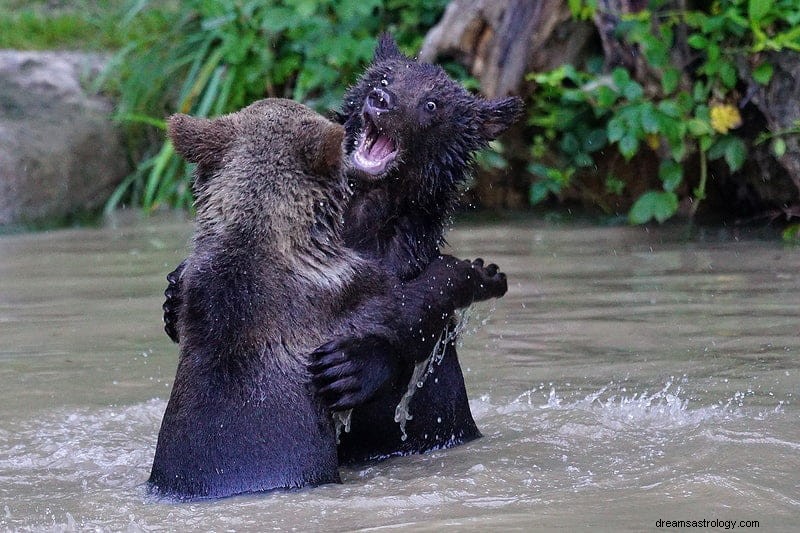 O que significa sonhar que está sendo perseguido por um urso?