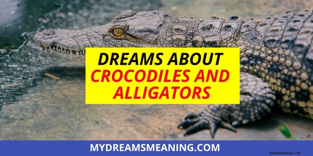 Sonhos com crocodilos e jacarés |Interpretação dos sonhos