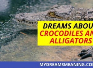 Sueños con cocodrilos y caimanes |Interpretación de sueños