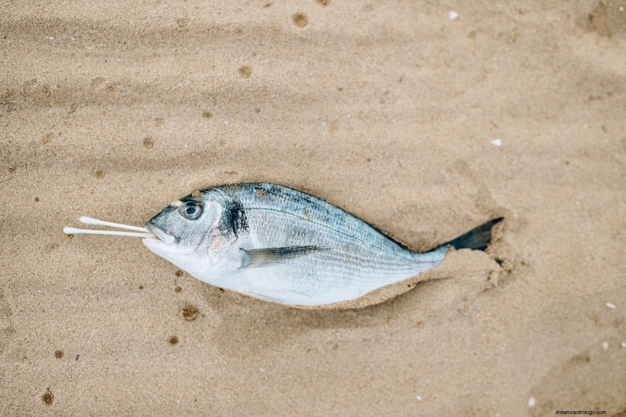 Droombetekenis van vis in water | Vis Droom Betekenis 