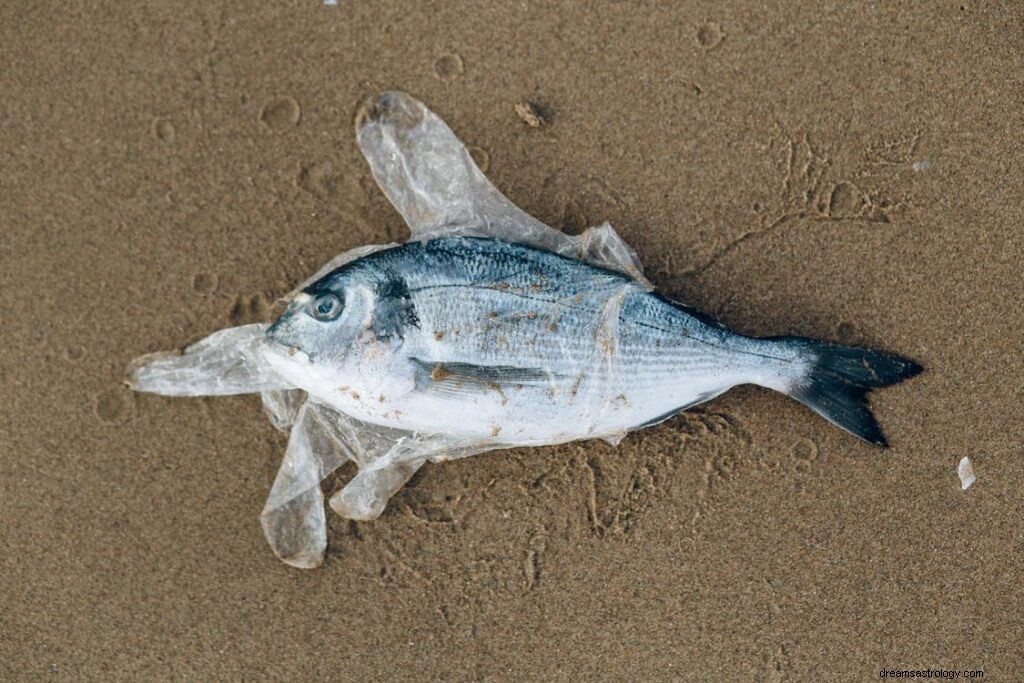 魚の夢の意味とは？魚の夢の意味 