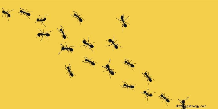 Significado y simbolismo de soñar con hormigas