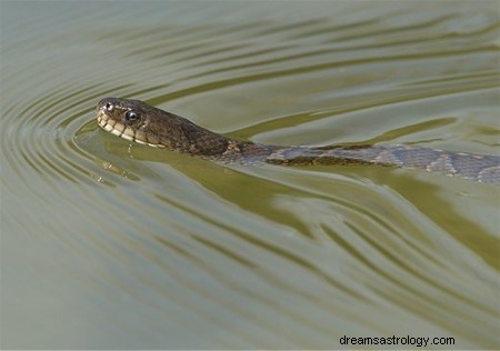 Significato dei sogni di serpenti nell acqua