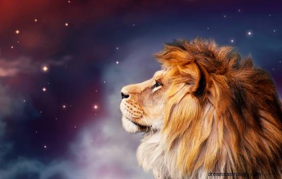 Lions Dream Betekenis