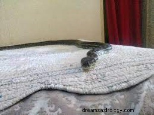 Ormar i sängen drömmening