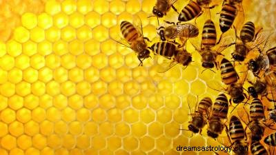 Znaczenie snu pszczół