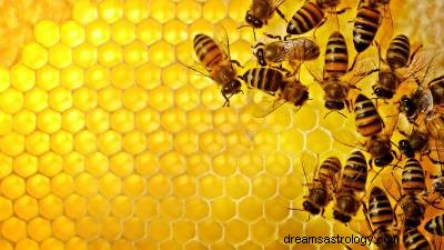 Significado de soñar con Abejas 