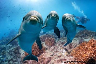 Significado de soñar con delfines