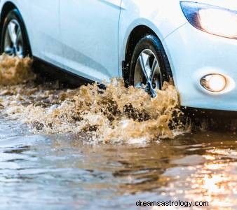 Rêver d une voiture tombant dans l eau Signification