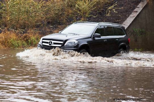 Droom over auto die in het water drijft Betekenis