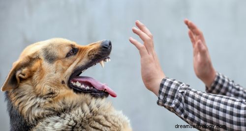 Droom over de betekenis van hondenaanval