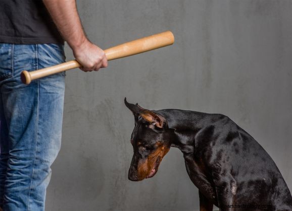 犬を虐待する夢の意味 