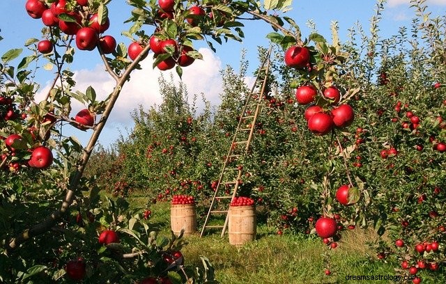 Sny o žebříku – výklad a význam