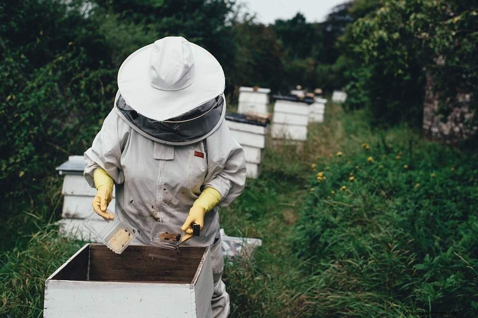 Von Bienen träumen