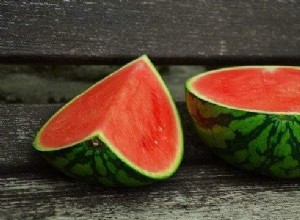 Snít o vodním melounu
