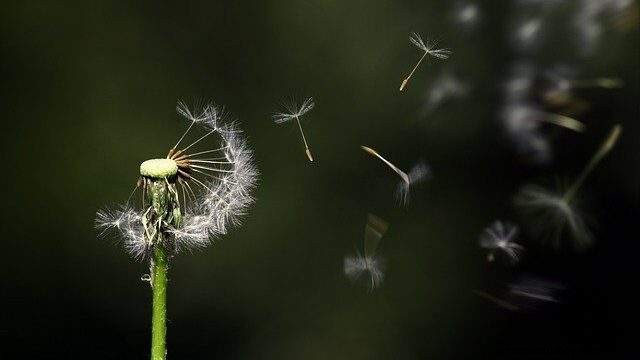 Mimpi tentang angin – makna dan interpretasi mimpi
