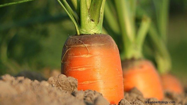 Von einer Karotte träumen – Bedeutung und Deutung
