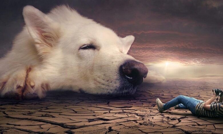 Interpretação de sonho de ataque de cachorro em um sonho