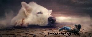 Interpretacja snu o ataku psa we śnie