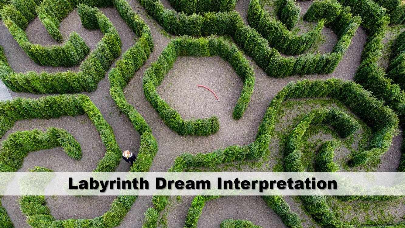 Interpretação dos sonhos do labirinto