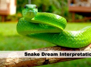 蛇の夢の解釈