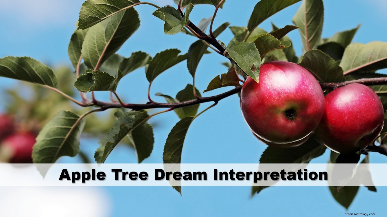 Apfelbaum-Traumdeutung