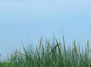 裸の夢の解釈の意味 – 「私は夢の中で裸です!」