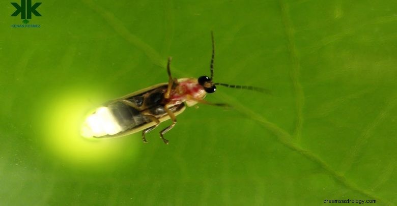 ホタルの夢の解釈