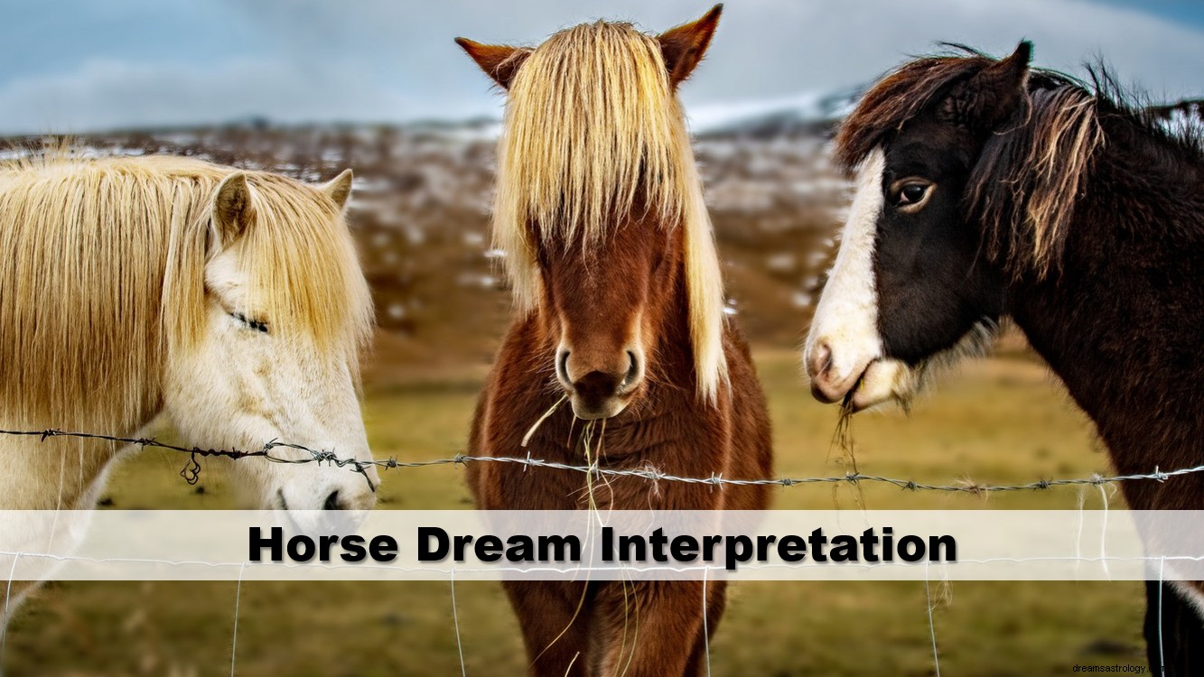 Interpretatie van paardendromen
