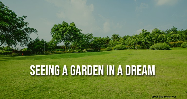 Seing Garden In A Dream