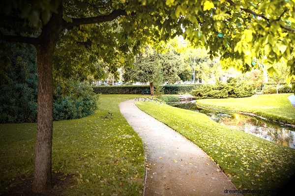 Voir le jardin dans un rêve