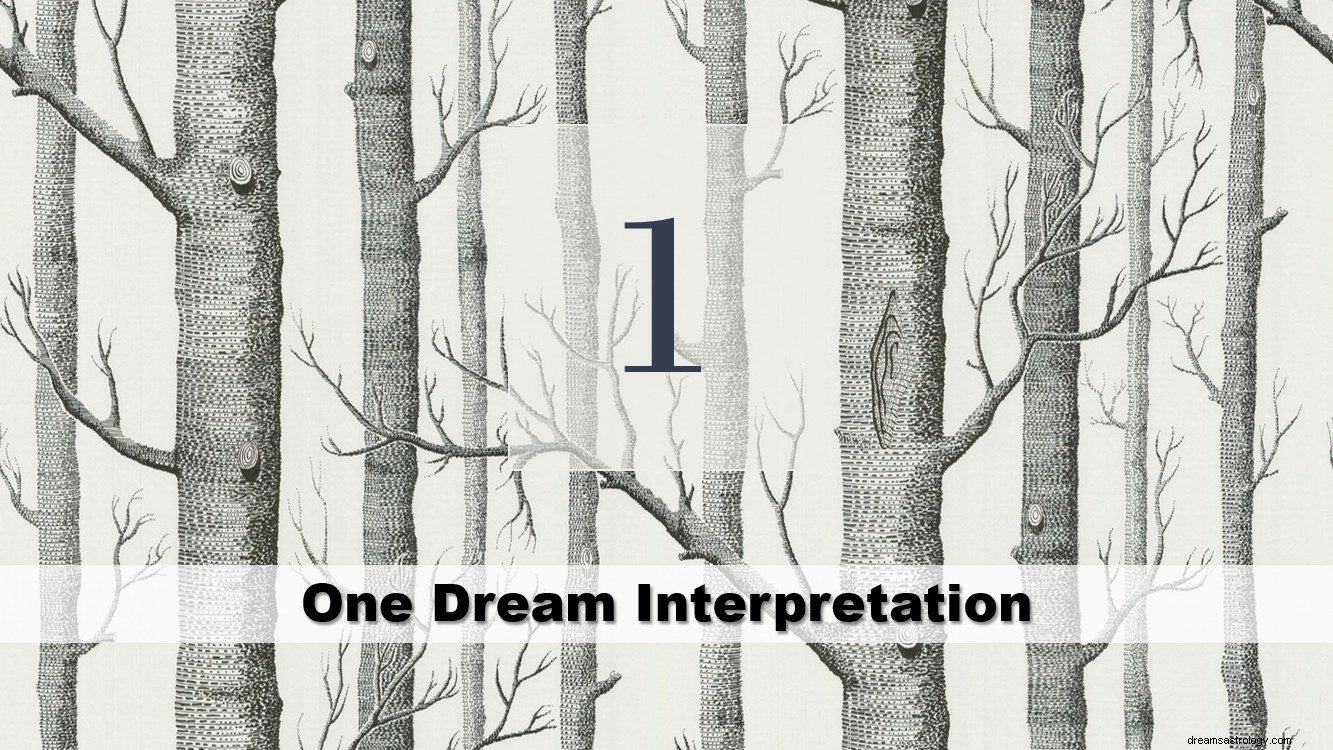 One Dream Interpretation