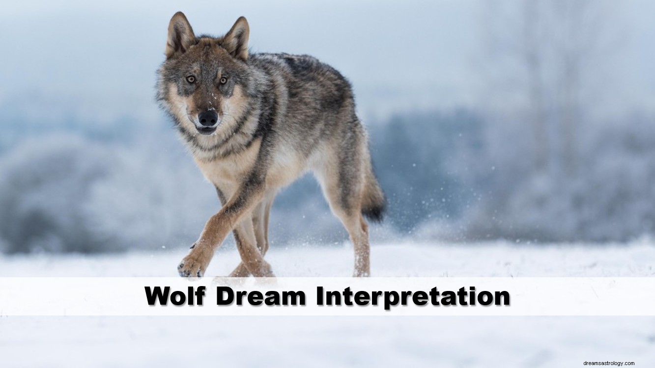 オオカミの夢の解釈