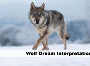 Interprétation des rêves de loup