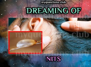 NITSの夢を見る 