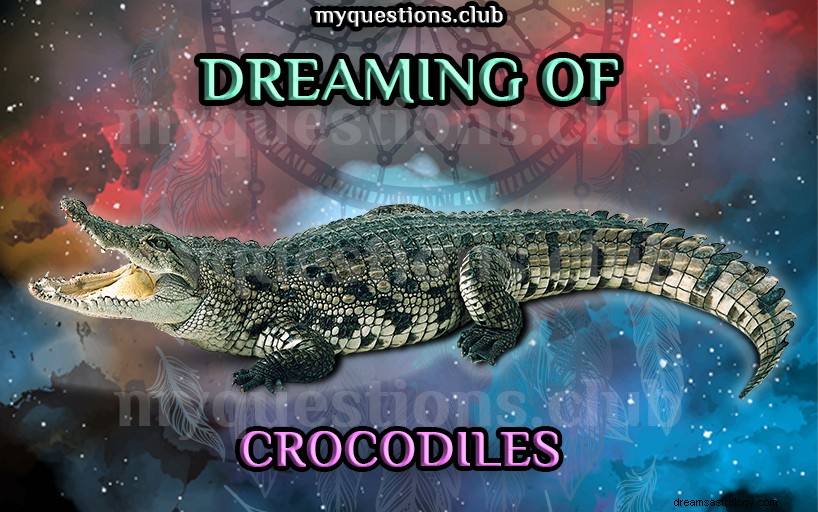 SONHAR COM CROCODILOS 