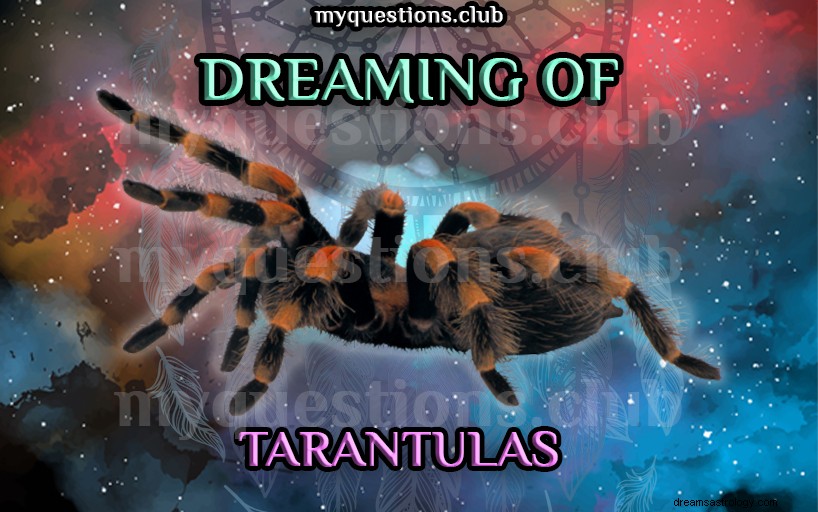 DROMEN VAN TARANTULAS