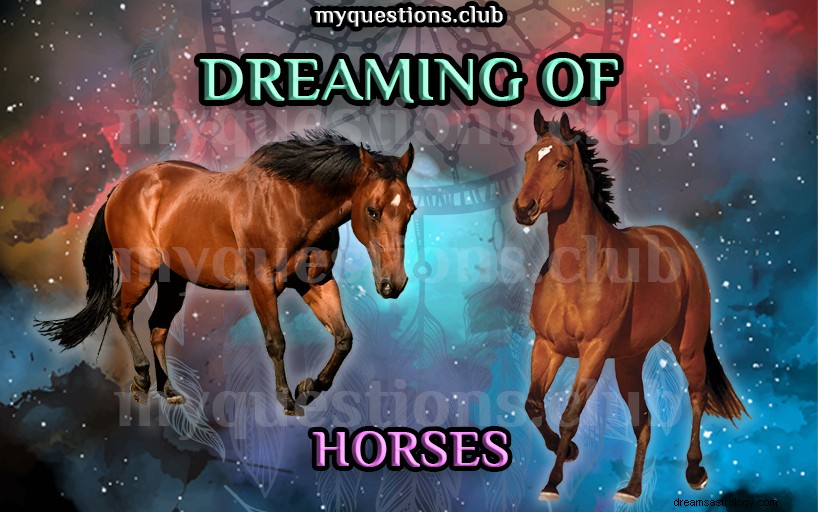 馬の夢を見る