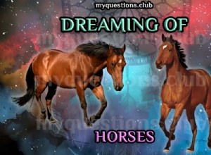馬の夢を見る