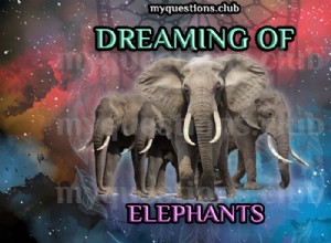 DRÖMMAR OM ELEFANTER