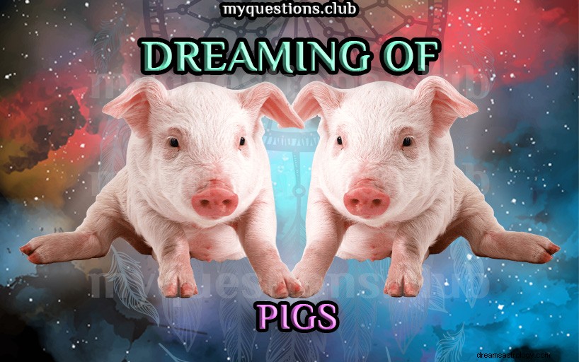 豚の夢を見る