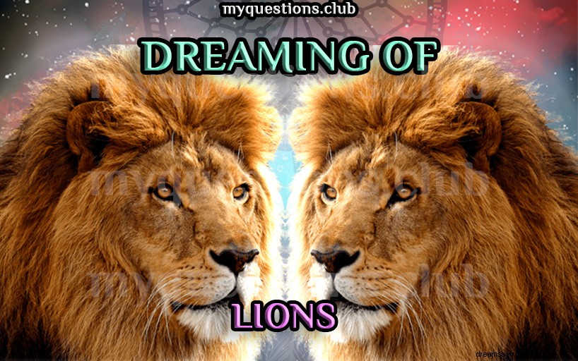 ライオンの夢を見る