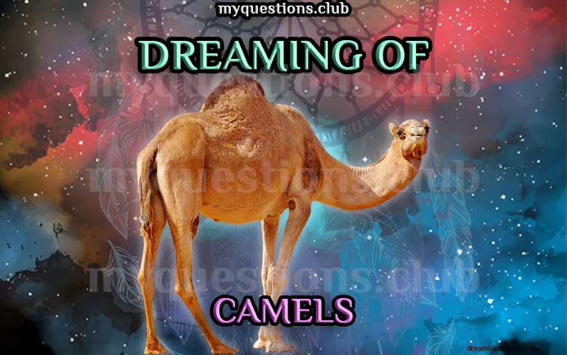 SOÑAR CON CAMELLOS