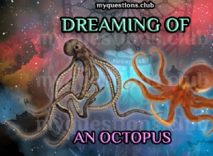 RÊVER D UNE PIEUVRE