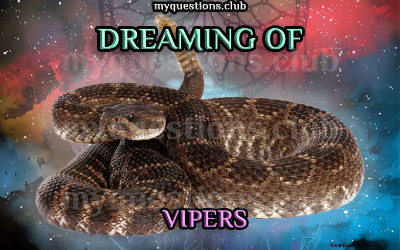 SNENÍ O VIPERS