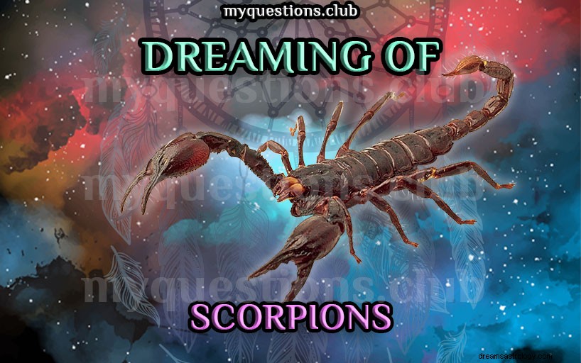 RÊVER DE SCORPIONS