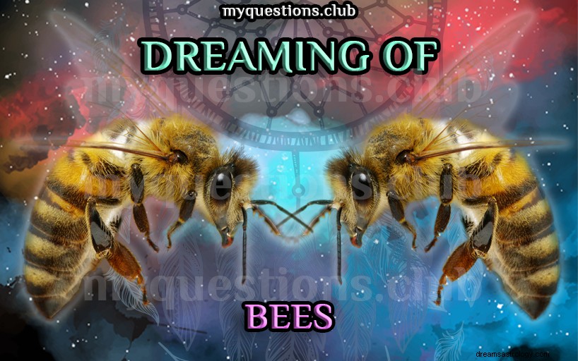 ミツバチの夢を見る