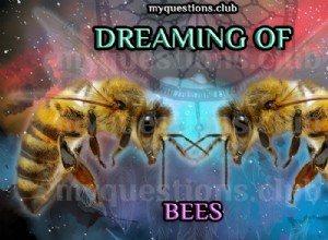 ミツバチの夢を見る