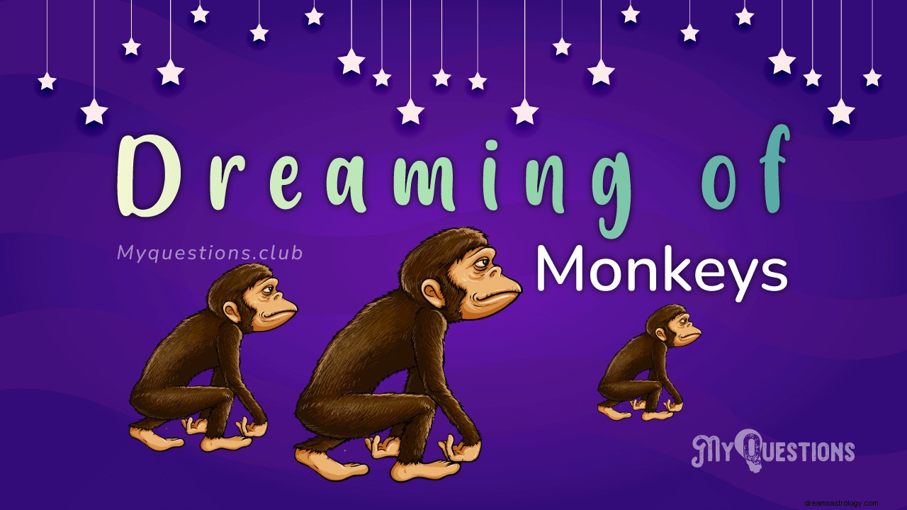 猿の夢を見る
