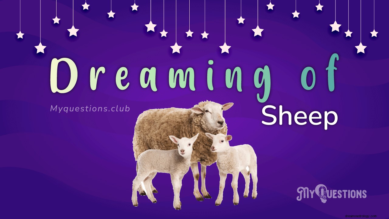羊の夢を見る